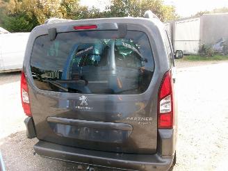 Peugeot Partner Tepee 1.6 Active picture 17