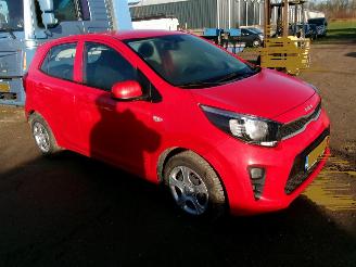 Kia Picanto 1.0 Easy - Airco picture 4