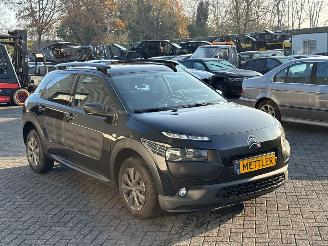 Citroën C4 cactus 1.6 Blue Hdi 100 Hatchback 4Dr Diesel 1.560cc 73kW (99pk) FWD picture 7