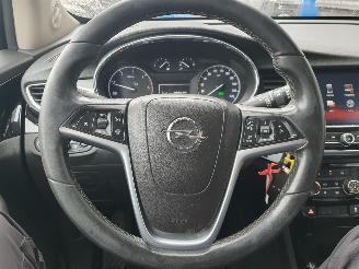 Opel Mokka X 1.6 CDTI Business+ picture 13