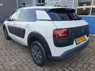 Citroën C4 cactus 1.6 BlueHDi Shine SCHADEVRIJ picture 4