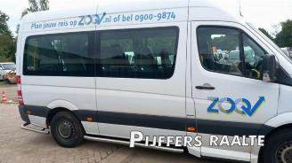 Mercedes Sprinter Sprinter 3,5t (906.73), Bus, 2006 / 2020 316 NGT picture 3