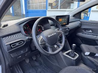 Dacia Jogger 1.0 TCE  7-PERSOONS  EXPRESSION picture 17