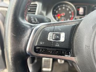Volkswagen Golf GTI Performance 2.0 TSI picture 22