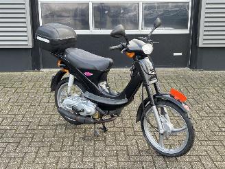 dommages scooters Piaggio  Velofax 2005/8