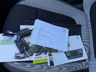 Skoda Fabia 1.2 TSI Ambition picture 19