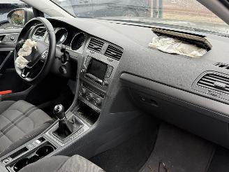 Volkswagen Golf 1.6 TDI Highline BlueMotion picture 21