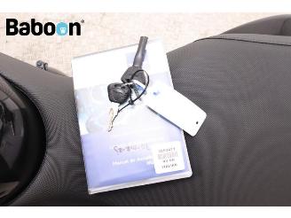 Triumph Speed Triple 1050 ABS picture 28