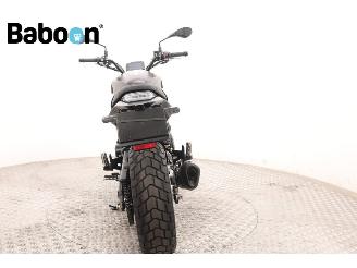 Benelli  Leoncino 800 picture 7