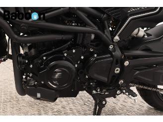 Benelli  Leoncino 800 picture 18