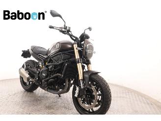 Benelli  Leoncino 800 picture 2