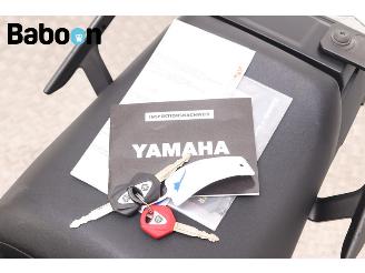 Yamaha  Tracer 900 ABS picture 21