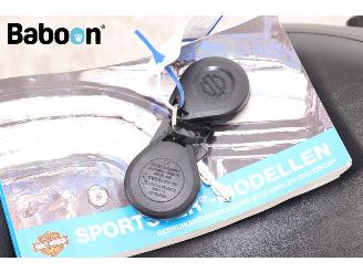 Harley-Davidson XL 883 N Sportster Iron picture 21