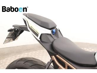 BMW S 1000 R ABS picture 11