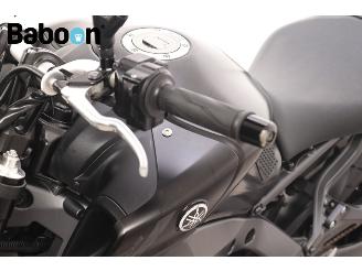 Yamaha MT-09  picture 20