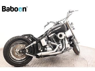 Harley-Davidson  FLSTFI Fat Boy picture 8