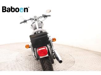 Harley-Davidson XL 1200 C Sportster picture 6