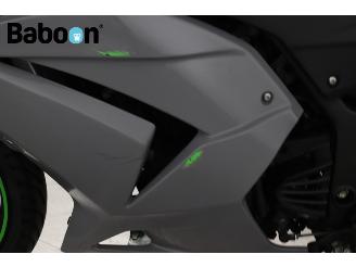Kawasaki Ninja 250 R  picture 17