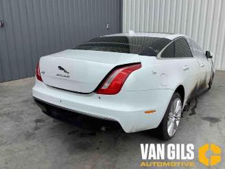 Autoverwertung Jaguar XJ XJ (X351), Sedan, 2009 / 2019 3.0 D V6 24V 2017/6
