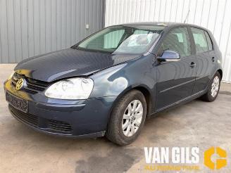 Volkswagen Golf Golf V (1K1), Hatchback, 2003 / 2010 1.9 TDI picture 2