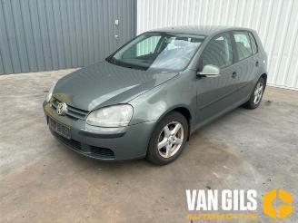 Volkswagen Golf Golf V (1K1), Hatchback, 2003 / 2010 1.6 picture 2