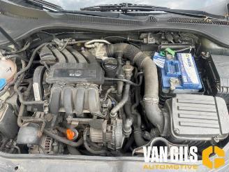 Volkswagen Golf Golf V (1K1), Hatchback, 2003 / 2010 1.6 picture 15