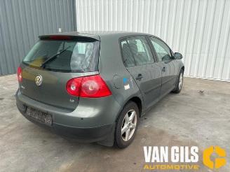 Volkswagen Golf Golf V (1K1), Hatchback, 2003 / 2010 1.6 picture 6
