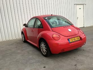 Volkswagen Beetle  picture 4