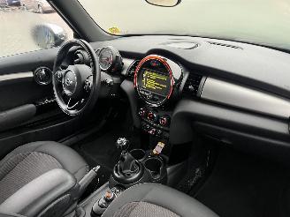 Mini One One Salt Business picture 9