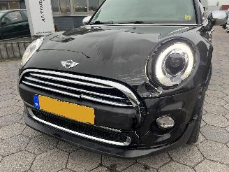 Mini One One Salt Business picture 8