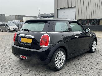 Mini One One Salt Business picture 6