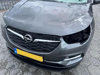 Opel Grandland X`1.2 Turbo Business + picture 10