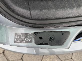 Volkswagen Tiguan 2.0 TSI Track&Field 4Motion picture 14