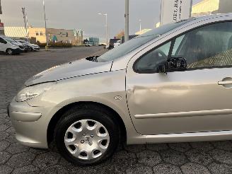 Peugeot 307 1.6-16V XS picture 9