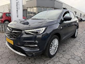 Schadeauto Opel Grandland X 1.2 Turbo Business Executive 2019/9