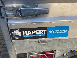 Hapert  Cobalt picture 7