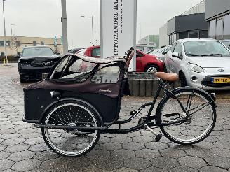 krockskadad bil fiets Overige  Johnny Loco E-Cargo Cruiser 5.3 2017/12