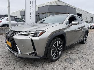 Damaged car Lexus UX 250h Preference Line 2021/1
