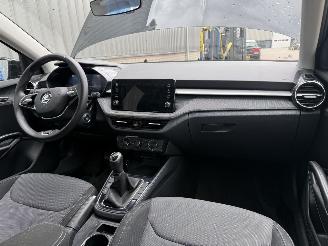 Skoda Fabia 1.0 TSI Selection picture 15