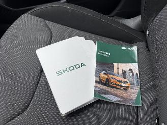 Skoda Fabia 1.0 TSI Selection picture 20