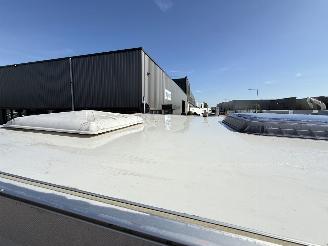 Kip  Grey - Line Special 41G picture 9