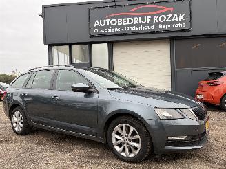 Vaurioauto  passenger cars Skoda Octavia 1.0 TSI Greentech BusinessEdition 2019/1