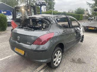 Peugeot 308 1.6-16 VTi picture 3