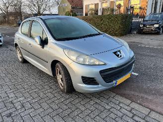 Auto da rottamare Peugeot 207 1.4-16V 2009/9