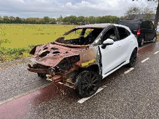 Ford Puma 1.0 Ecoboost Hybrid ST-Line picture 2