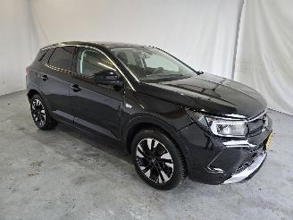 Schadeauto Opel Grandland 1.6 TurboHy Level 3 2023/9