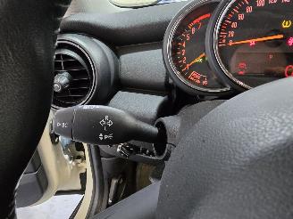 Mini One 1.2 Salt picture 26