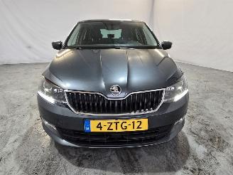 Skoda Fabia 1.2 TSI First Edition Ambition picture 2