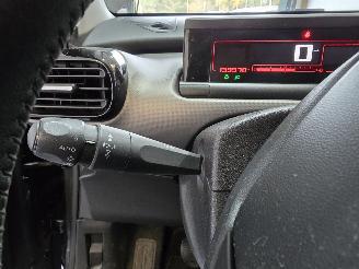 Citroën C4 cactus 1.2 PureTech Shine picture 28