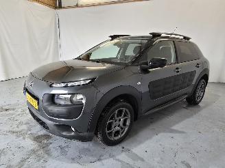 Citroën C4 cactus 1.2 PureTech Shine picture 3